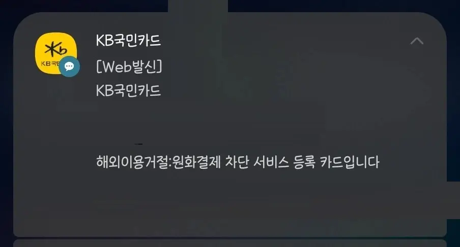국내 카드 결제 수단